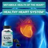 NAD+ liposomiale e trans-resveratrolo (120 capsule) Anteprima dell’immagine prodotto 6