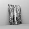 Bilder auf glas - Einteilig - Birken Wald Monochrom - Produktbild-Vorschau 4