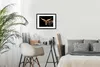 MuchoWow® MuchoWow® Gerahmtes Poster Kuh - Watussi - Braun Produktbild-Vorschau 7