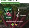 Rhabarber Victoria Samen - Rheum rhabarbarum - Produktbild-Vorschau 8