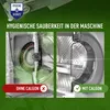 HYGIENE+ Waschmaschinenreiniger 37 St. Produktbild-Vorschau 5