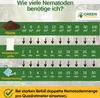 SF Nematoden gegen Ameisen- 10 Mio. für 20m² Mittel gegen Produktbild-Vorschau 10