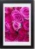 Bild 20x30 MDF-Rahmen, Wandkunst Rosa Rosen Produktbild-Vorschau 1