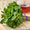 A bunch of fresh mint tied with a purple ribbon, next to a teapot filled with red liquid. Náhľad obrázku produktu