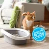 Anibest Żwirek drewniany dla kota 10L / 4,3kg Podgląd zdjęcia produktu 4