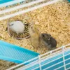 PawHut Kleintierkäfig Nagerkäfig Kleintierstall mit Rampe Produktbild-Vorschau 5