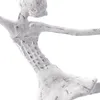 FIGÚRA BALETKY "BALLETT I" | biela, 40 cm | socha baletky Náhľad obrázku produktu 4