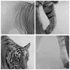Bild auf Leinwand - Leinwandbild - Einteilig - Tiger Produktbild-Vorschau 8