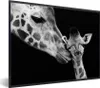 MuchoWow® Gerahmtes Poster Tiere - Schwarz - Weiß - Giraffe Produktbild-Vorschau 1