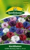Kornblume, Gefüllte Mischung Produktbild-Vorschau 3