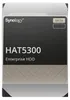 Synology | HDD Enterprise | (HAT5300-12T) | 7200 RPM | Anteprima dell’immagine prodotto 1