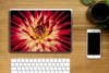 MuchoWow® Laptop Aufkleber Sticker Cover Blumen - Natur - Produktbild-Vorschau 2