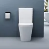 doporro WC à Poser Céramique Blanc Toilette avec Réservoir Voir les images du produit 4