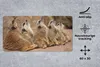 MuchoWow® Mauspad Mousepad Erdmännchen - Felsen - Natur Produktbild-Vorschau 2