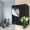 Serra Mucola incl. misuratore di umidità 3 in 1 per piante Anteprima dell’immagine prodotto 22