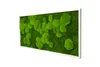 Moosbild 110x55cm 50% Flachmoos/ 50%Kugelmoos (weiß) Produktbild-Vorschau 2