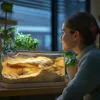 Terrario ReptiSun Temperature Control - lampa z termostatem Podgląd zdjęcia produktu 3