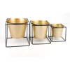SWEN GOLD osłonka na stojaku 14xh14cm Podgląd zdjęcia produktu 11