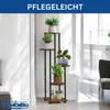 DanDiBo Escalier pour fleurs Indoor Métal Noir 5 étages Voir les images du produit 8