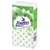 Linteo Chusteczki Higieniczne 2 Warstwy 10x10szt 100% Podgląd zdjęcia produktu 5