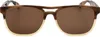 Ted Baker Sonnenbrille TB8207 162 56 16 145 Produktbild-Vorschau 2