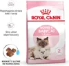 Royal Canin Mother & Babycat, Dorosły, Każda rasa, Drób, 4 Podgląd zdjęcia produktu 11