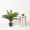 HOMESCAPES Umělá rostlina Zelená 'Palm Ferns' Cycadales Náhled obrázku produktu 6