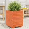Möbel Pflanzkübel Wachsbraun 40x40x49,5 cm Massivholz Produktbild-Vorschau 1