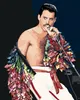 Malen nach Zahlen mit einem Rahmen Gemälde - Freddie Produktbild-Vorschau 1