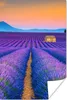 MuchoWow® Poster Lavendel - Lila - Blumen 20x30 cm - Produktbild-Vorschau 1