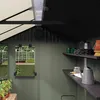 Keter Darwin Gewächshaus 244x190x221cm Grün - Treibhaus aus Produktbild-Vorschau 9