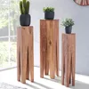 Three wooden plant stands of varying heights, each holding a potted plant, are arranged in a room with a large window in the background. Náhled obrázku produktu