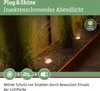 Paulmann Plug & Shine LED inbouwspot voor de vloer, model Productafbeelding-voorbeeld 6