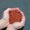 10 Liter (3,7 kg) Lyra Pond® Pond Colour Astax Koi Pellets Produktbild-Vorschau 7