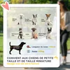 PawHut Poussette buggy pliable pour chien, porte-gobelets, Voir les images du produit 3