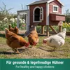Agrarzone granulat paszowy dla kurcząt przeciw roztoczom 20 Podgląd zdjęcia produktu 3