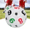 Pallone da calcio all'aperto per bambini, misura 2, Anteprima dell’immagine prodotto 2