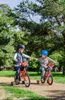 Bicicletta per bambini 12 pollici Cars Disney per ragazzo Anteprima dell’immagine prodotto 15