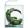 A small aquarium with a curved rock formation covered in moss and a small plant, illuminated by an overhead light. Podgląd zdjęcia produktu