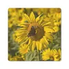 MuchoWow® Mauspad Mousepad Tagpfauenauge Schmetterling auf Produktbild-Vorschau 1