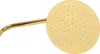 A close-up shot of a gold shower head and arm against a white background. Náhled obrázku produktu