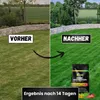 Greenyp Herbstrasendünger Langzeit I 30kg / 900m² I mit 90 Produktbild-Vorschau 3