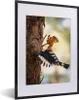 MuchoWow® MuchoWow® Gerahmtes Poster Vogel - Baum - Wald Produktbild-Vorschau 1