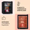 A collage of images showcasing a mini refrigerator, its features, and capacity. Produktbild-Vorschau