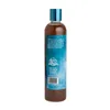 BioGroom Bronze Lustre Shampoo colorato per cani, Anteprima dell’immagine prodotto 8