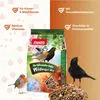 PANTO Vier-Jahreszeiten-Futter – 5 kg Streufutter – Produktbild-Vorschau 2
