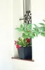 Květináč TERRA hranatý 37 cm - barva: antracit Voir les images du produit 4