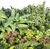 Primaflor Kunstpflanzen Wand JADE A 100x100cm Blumenwand Produktbild-Vorschau 2