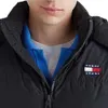 TOMMY JEANS TJM ALASKA PUFFER męska kurtka zimowa, Podgląd zdjęcia produktu 38