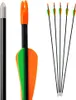 Frecce - Set da 5 in fibra di vetro - Punta in metallo Anteprima dell’immagine prodotto 1